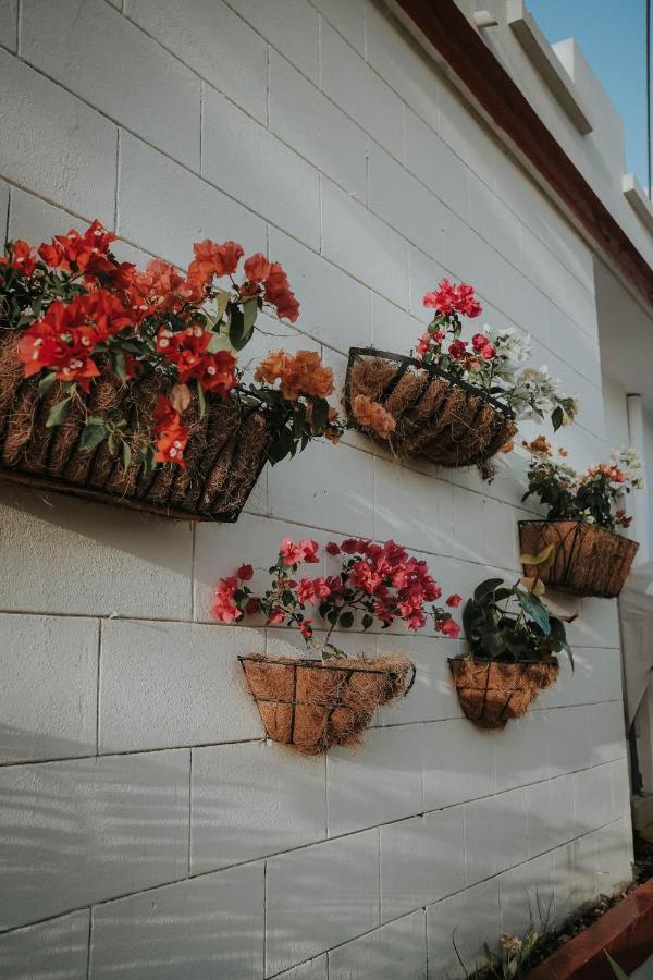 Villa Vassallo 폰세 외부 사진